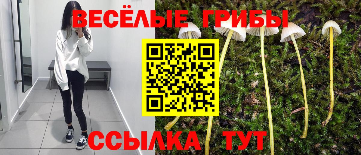 Псилоцибиновые грибы мухоморы Муравленко